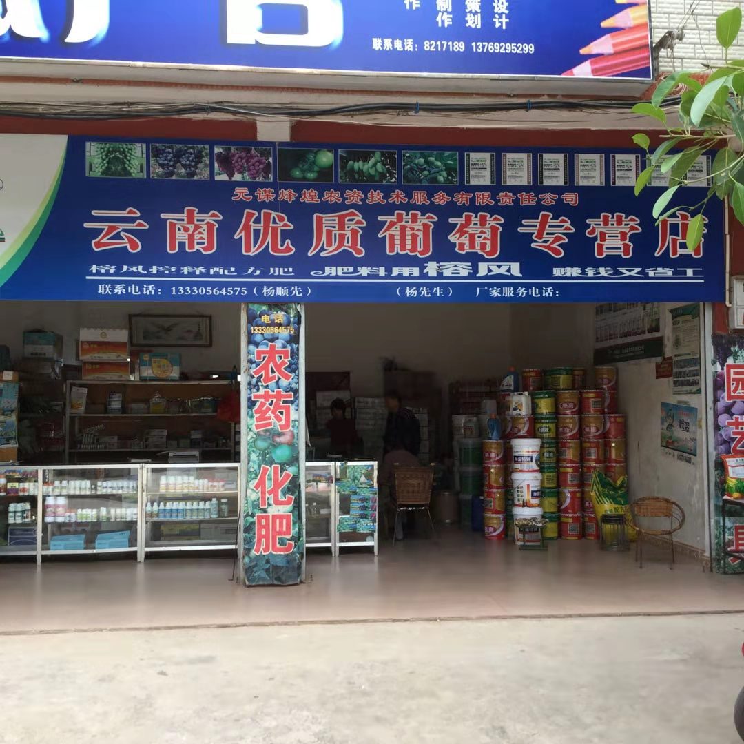 云南优质葡萄专营店