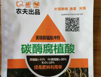 生根抗腐宁在寿光市丝瓜地的实验效果图